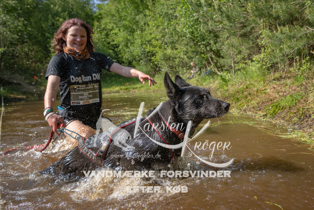 1618DKK993888 | kk-dogfotos