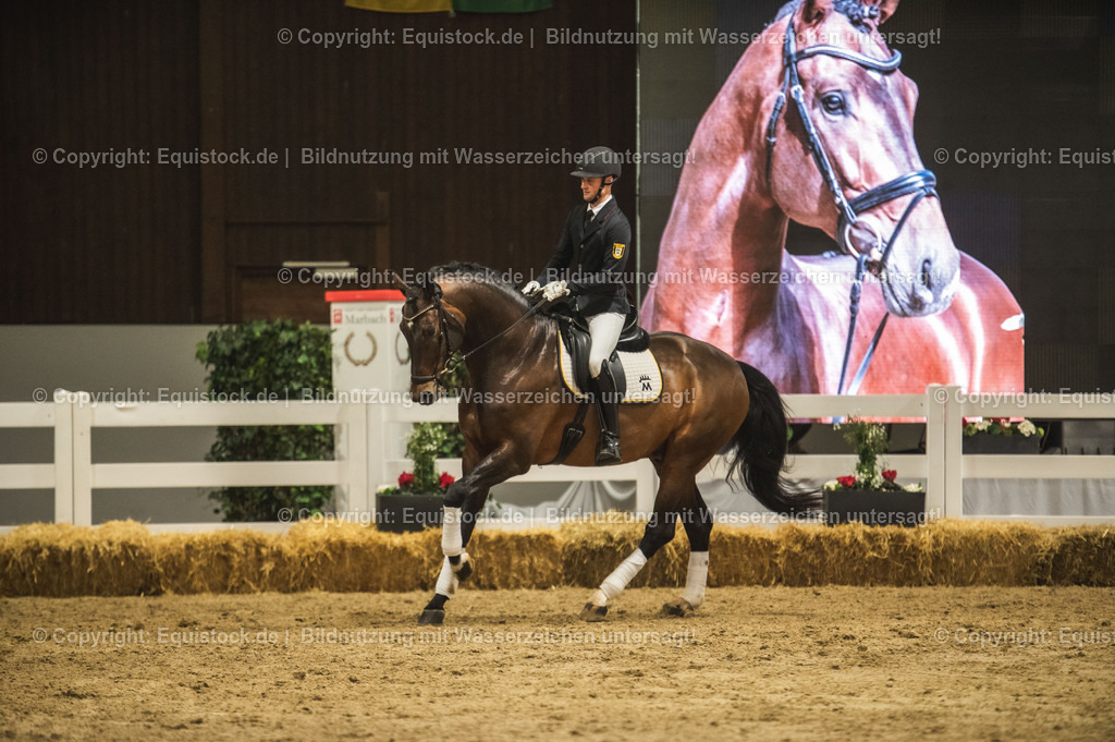20240302_Hengstvorstellung_Marbach_TOMsPiC_1217 | equistock