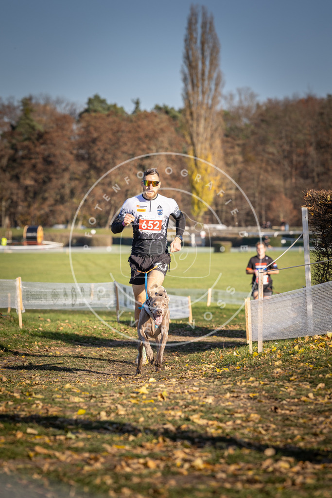 CaniXpix_DV3A0481 | Hundefotografie, Tierfotograf, Pfotenfotografie, Fotoshooting Hund, Hunde Portrait, Hundesport, Hundeportraits, Heideshooting, Hunde, Sportfotograf, Hundefotograf, Turnierhundsport, THS,  - Realisiert mit Pictrs.com