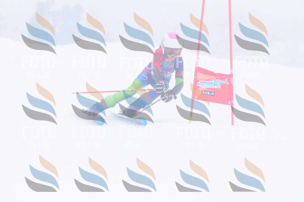 C3531 | holidayphoto