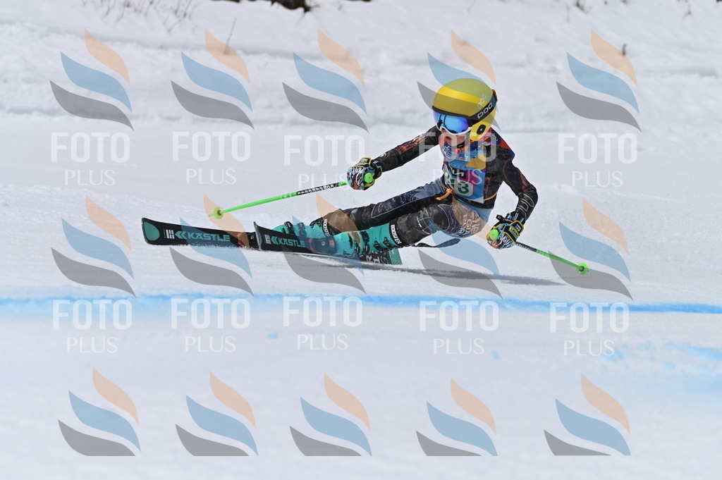 BGV_4140 | holidayphoto