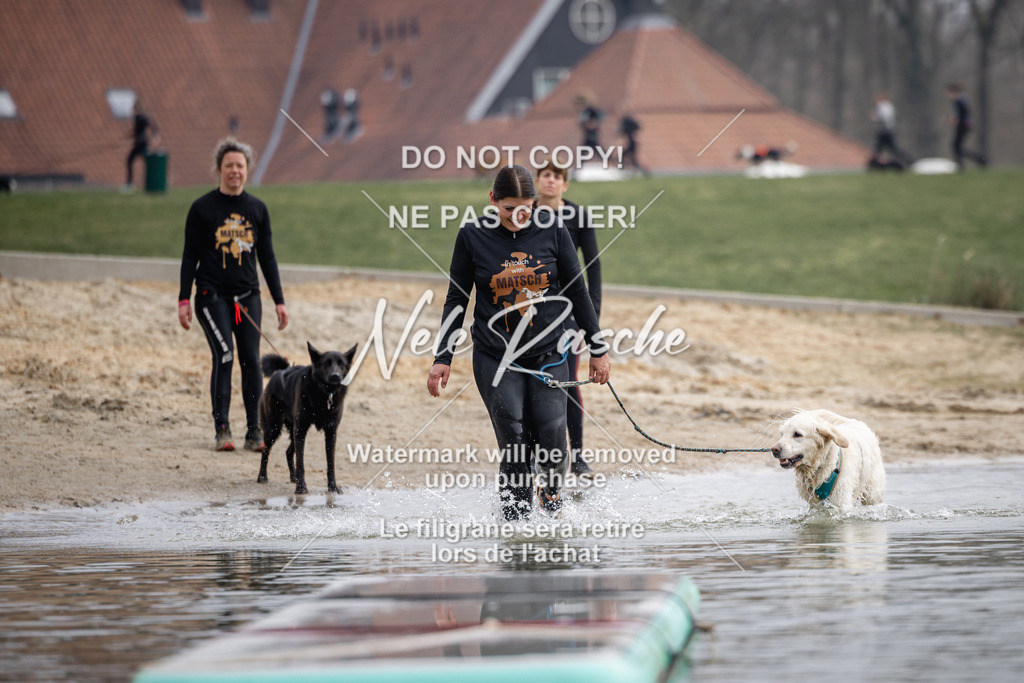 nelerasche_Hulsbeek_Sa1230-1330_02 | nelerasche