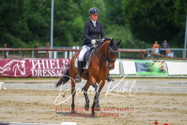 DKP40630 | Turniersportfotografie; Pferdefotografie; Dressurfotografie