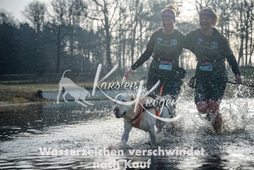 0849_ZZ98618 | kk-dogfotos