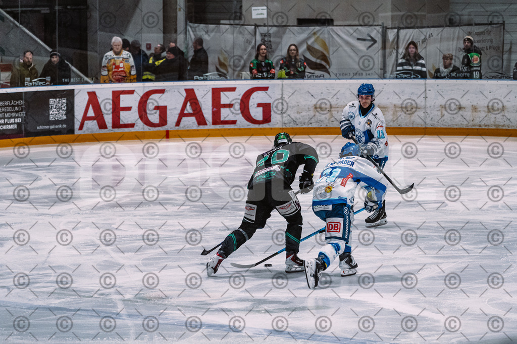 Alligators_vs_Riessersee_03_02_2026-03 | Höchstadt Alligators Fotogalerie: Eishockey-Action aus Franken. Professionelle Spielfotos, Portraits & Stadionbilder zum Download. Jetzt entdecken! - Realisiert mit Pictrs.com