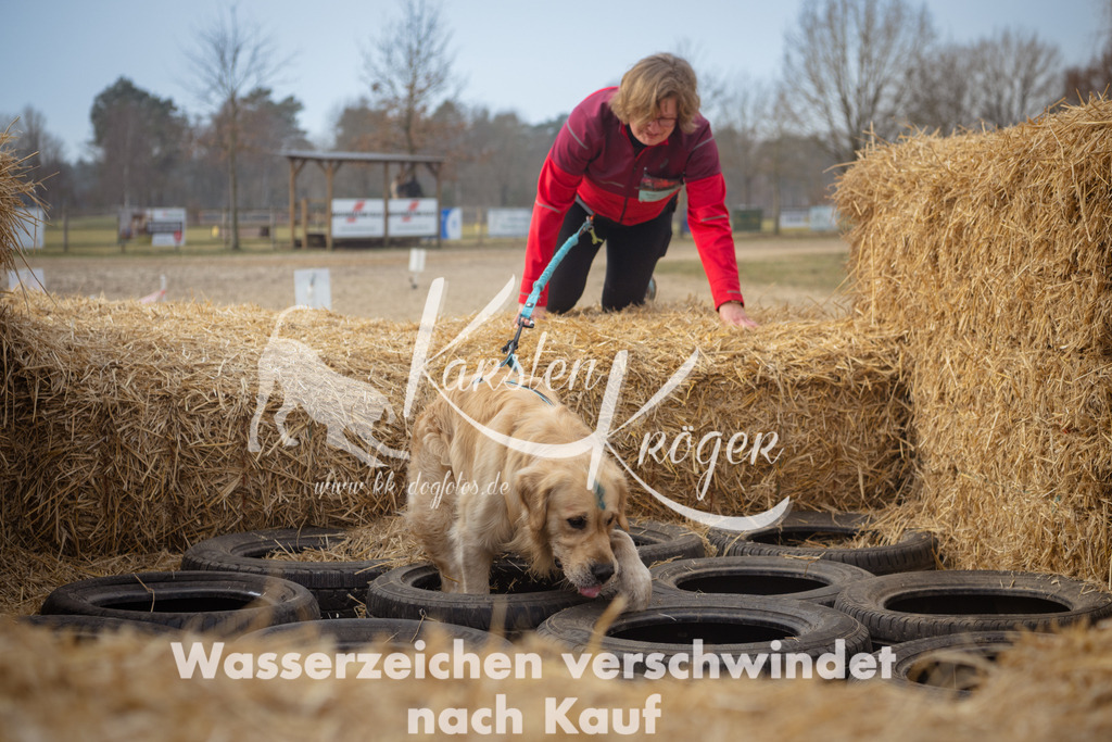 1011_ZZ92861 | kk-dogfotos