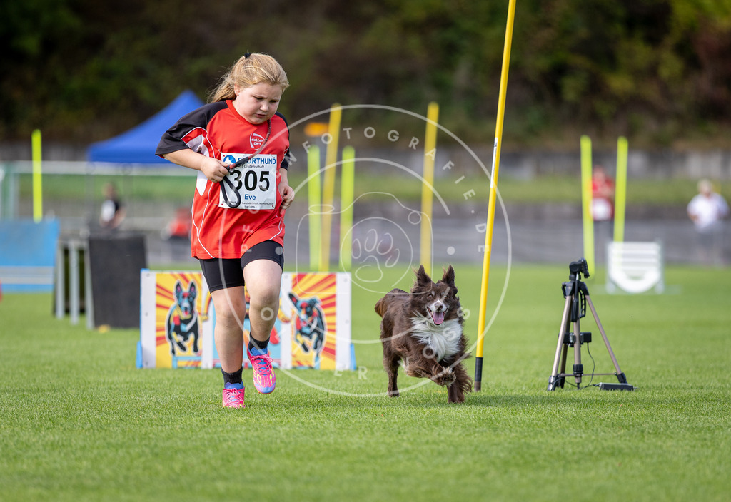 Pfotenfotografie_DV3A1125 | Hundefotografie, Tierfotograf, Pfotenfotografie, Fotoshooting Hund, Hunde Portrait, Hundesport, Hundeportraits, Heideshooting, Hunde, Sportfotograf, Hundefotograf, Turnierhundsport, THS,  - Realisiert mit Pictrs.com