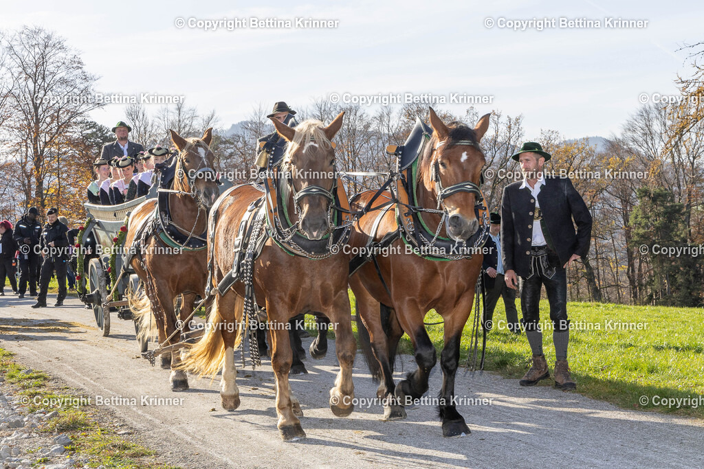 LBT24-1607 | foto-bettina-krinner - Realisiert mit Pictrs.com