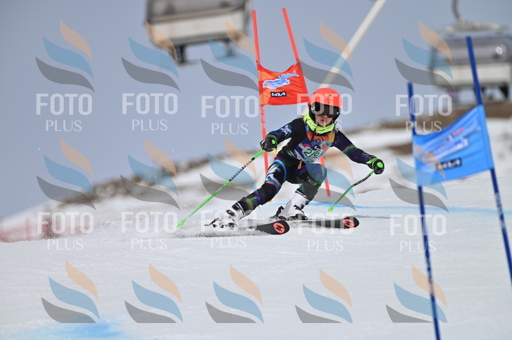 BGV_4453 | holidayphoto