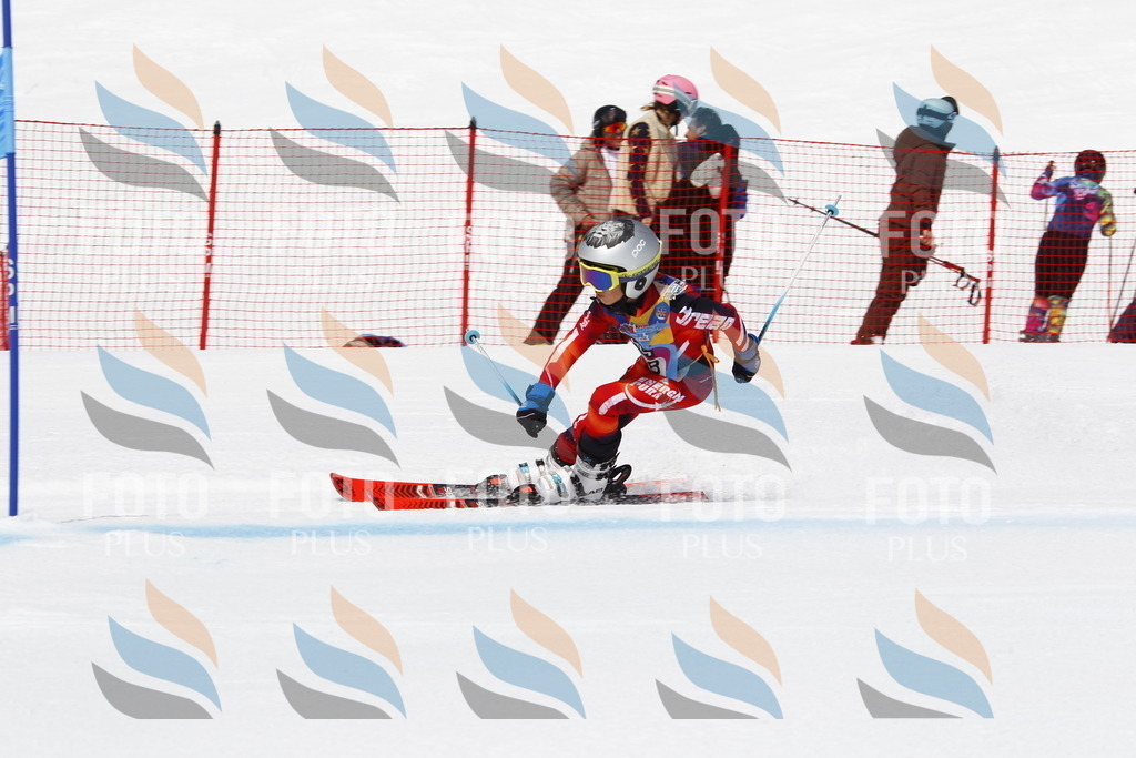 _U3G5168 | holidayphoto