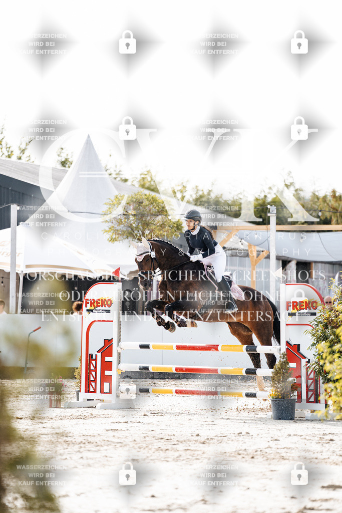 CK905607 | Turnierfotografie Pferdefotografie Trier Rheinland-Pfalz Pferdesport Reitsport Tierfotografie Sportfotografie Pferdevideo Pferdevideografie Equestrianvideography equestrianphotography  - Realisiert mit Pictrs.com