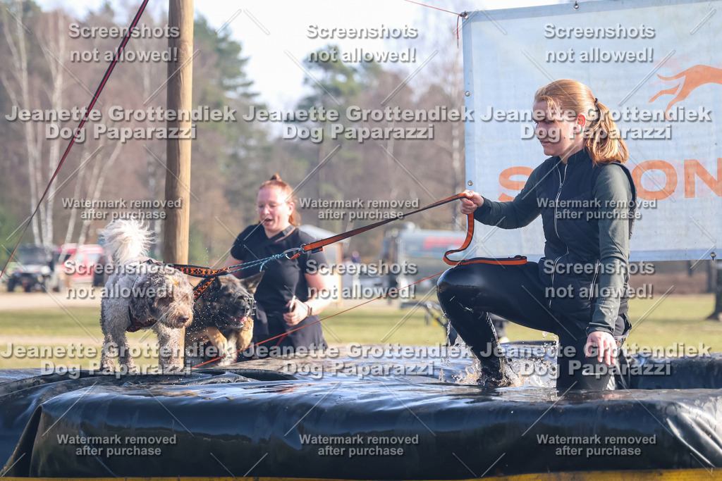 Dog Paparazzi - Strongdog North Mrz26-930 | Dog Paparazzi Jeanette Grottendiek Fotografie & Videografie - Realisiert mit Pictrs.com