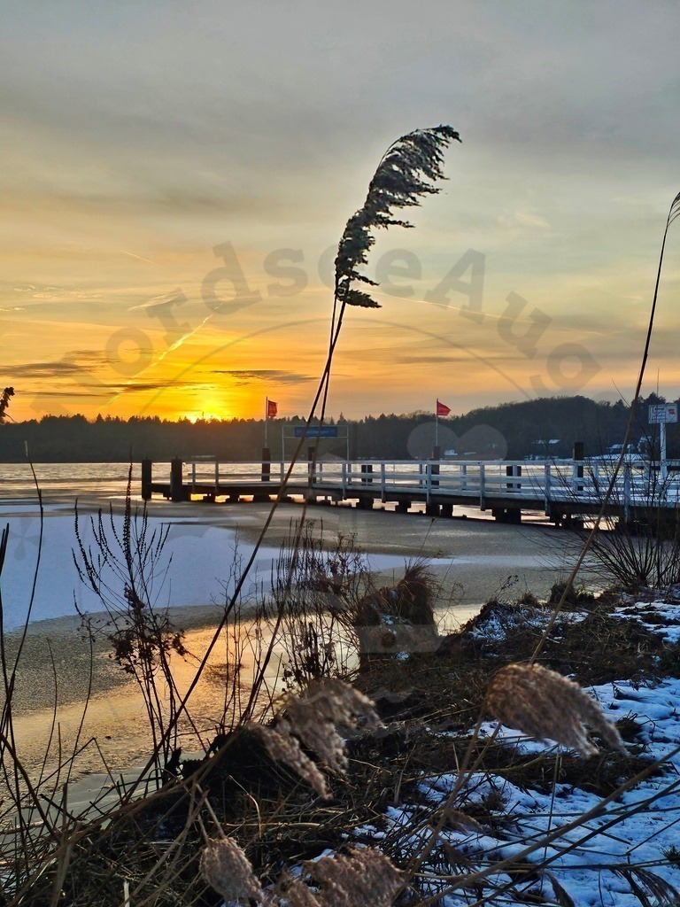 Nordsee Momente pur Nordseeküste Naturaufnahmen  | Nordsee in all ihrer Natürlichkeit  - Realisiert mit Pictrs.com