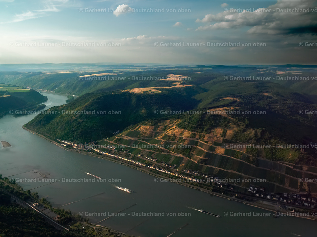 7000711 | Rhein bei Lorch