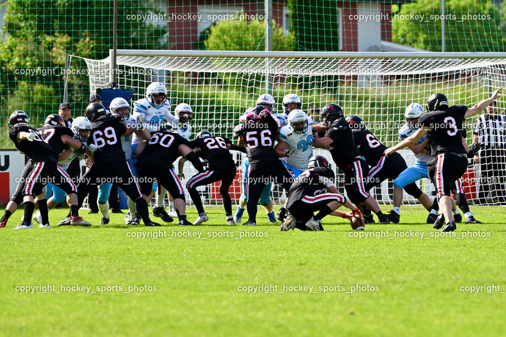 Carinthian Lions vs. Styrian Bears | Carinthian Lions vs. Styrian Bears, Carinthian Lions vs. Styrian Bears am 20.05.2024 in Klagenfurt (ASV Sportplatz), Austria, (Photo by Bernd Stefan)