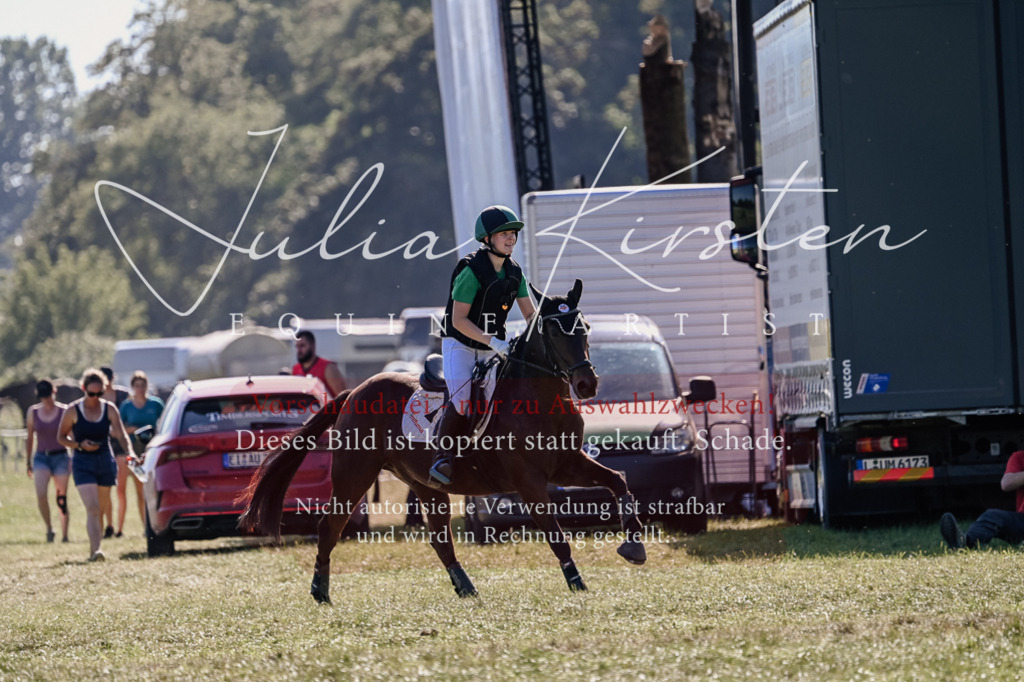 DSC_3595 | Pferde- und Turnierfotografie in Westsachsen. Pferdeportraits, Auftragszeichnungen und intuitive Kunst.