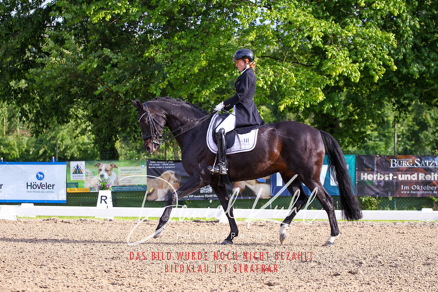 DKP41731 | Turnierfotos kaufen im Webshop von Daniel Kuhl Photography – entdecke professionelle Reitsportfotos aus Turnieren & Events. Hochwertige Turnierbilder online bestellen & sichern. Jetzt Fotos von Reitsportturnieren kaufen!