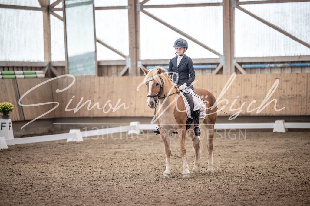 20251011-_3LI0487 | Tierfotografie Pferde, Hunde, Katzen, Haustiere.
Turnierfotografie Reitturniere, Reiten, Springreiten, Dressur in Hanau, dem Main-Kinzig-Kreis und dem Rhein-Main- Gebiet um Frankfurt