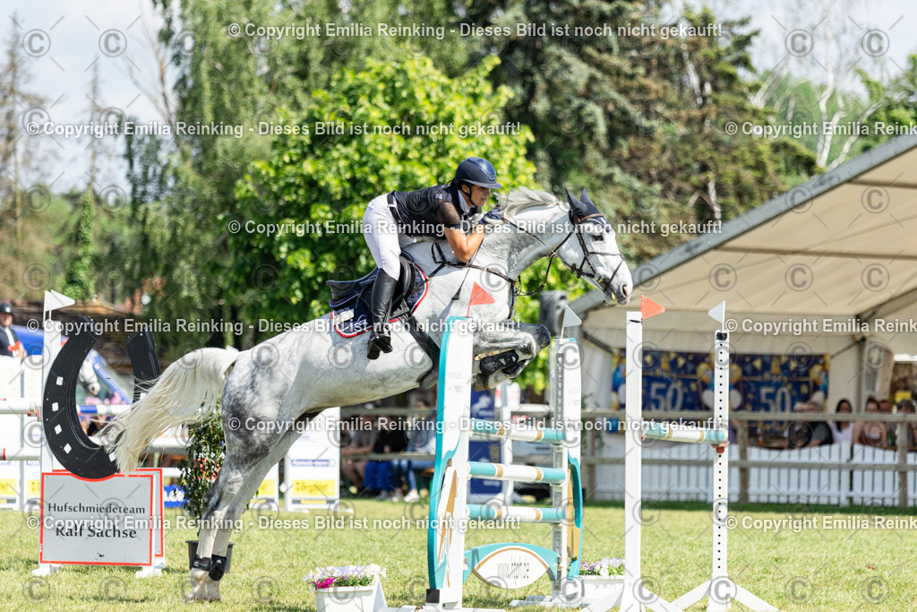 CL5A4604 | Emilia Reinking Fotografie - Realisiert mit Pictrs.com