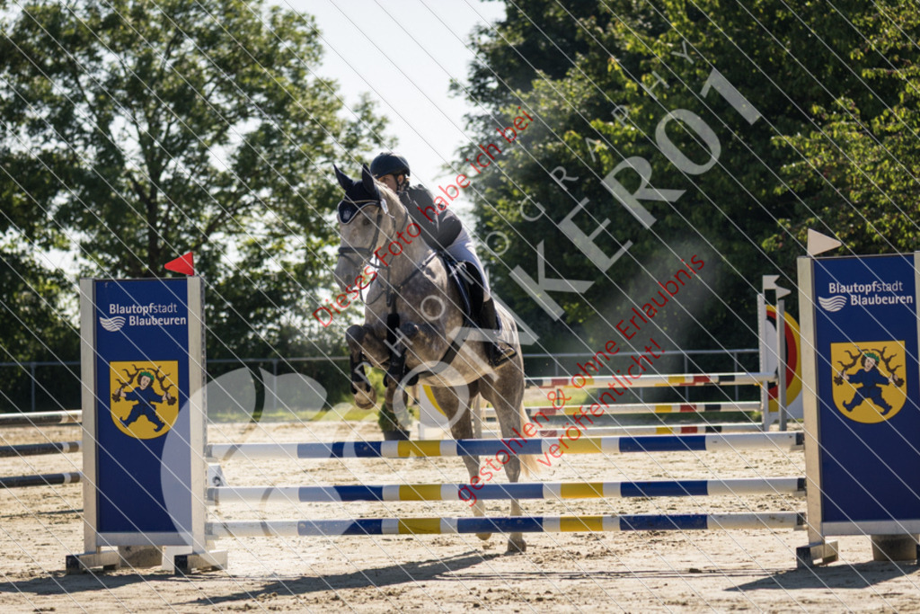 IMG_2676 | Sport-, Event- und Tierfotos in Profiqualität. Einfach auswählen, bestellen und herunterladen. Dein Moment – perfekt festgehalten.