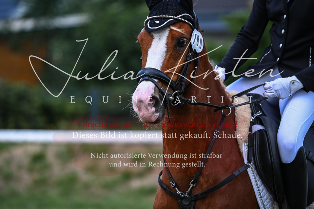DSC_8090 | Pferde- und Turnierfotografie in Westsachsen. Pferdeportraits, Auftragszeichnungen und intuitive Kunst.