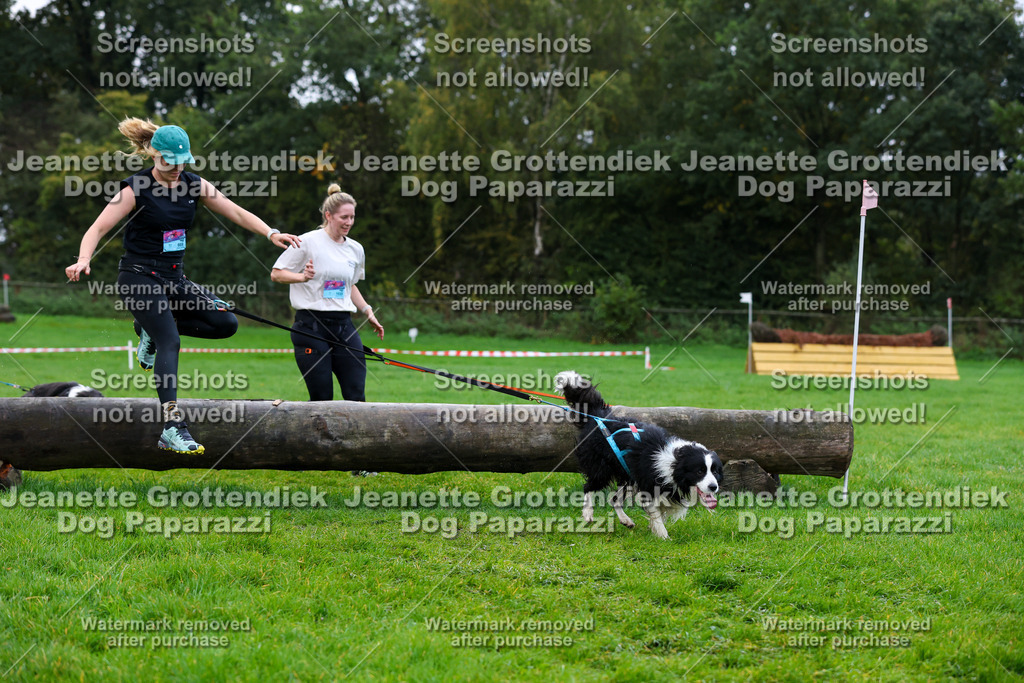 Dog Paparazzi -  SD1026-1306 | Dog Paparazzi Jeanette Grottendiek Fotografie & Videografie - Realisiert mit Pictrs.com