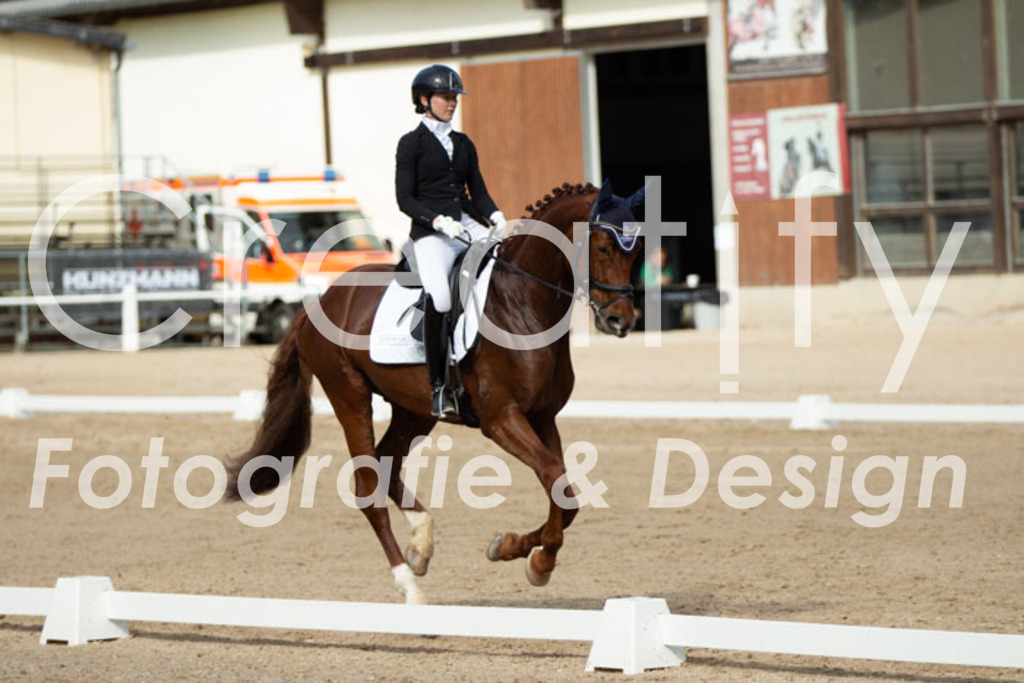 IMG_1085 | Creatify Fotografie