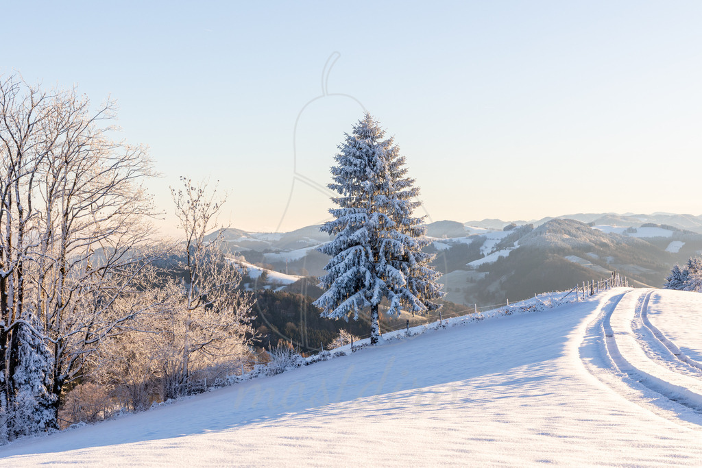 Winterwonderland Randegg | Ihre Fotografin im Lungau, ihre Fotografin im Mostviertel, Wandbilder Onlineshop, Imagefotos für Ihr Unternehmen,  - Realisiert mit Pictrs.com