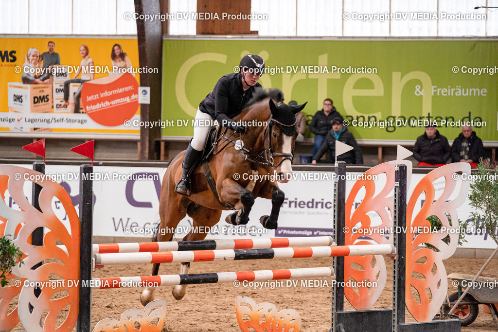 Kranichstein Tag 2-599 | dv-media-shop - Realisiert mit Pictrs.com