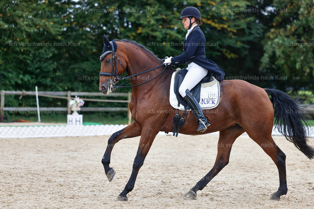 12-072-DRESSUR  S___  -StoibPH-5343 | working equitationturnier fotograf videograf stoibphotography marixx film working equitation deutschland reitsport turnierfotografie eventfotografie equestrian events