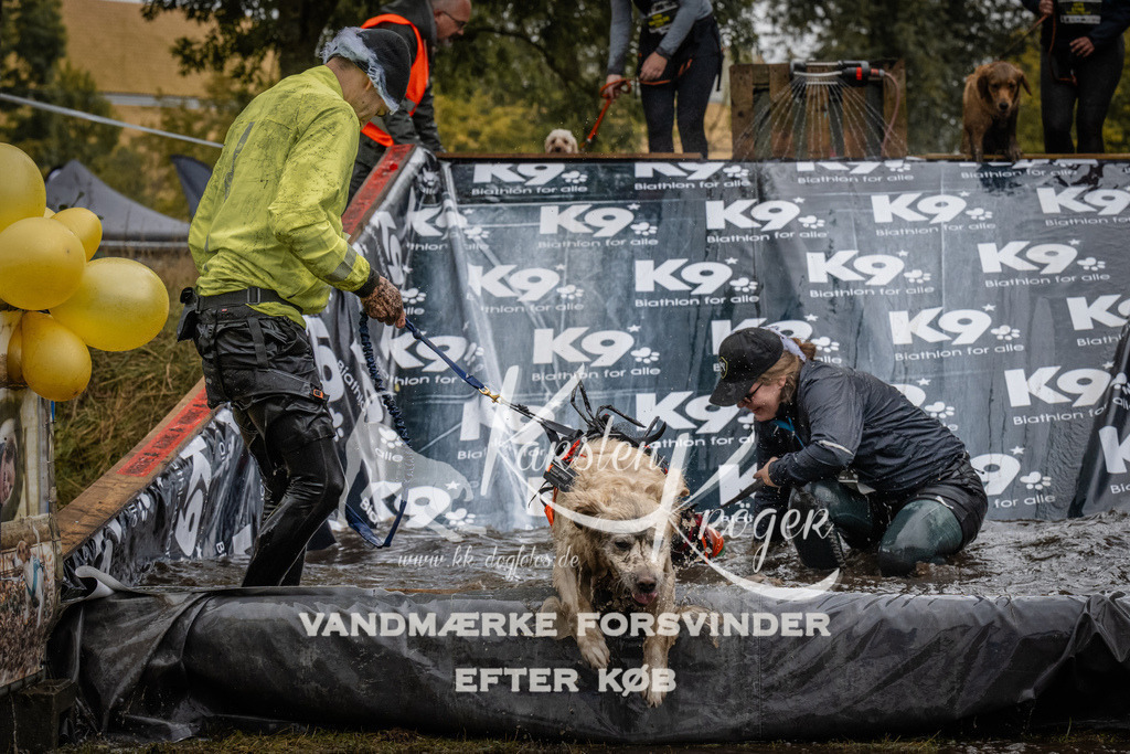 1202_ZZ94130 | kk-dogfotos