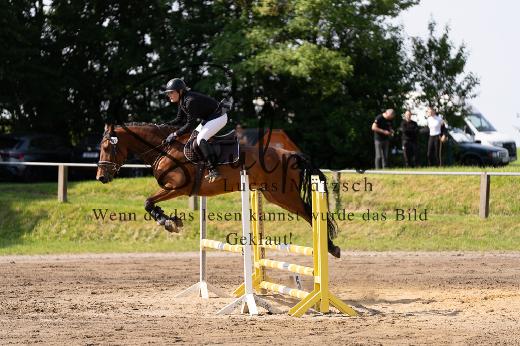 A7507380 | Turnier/Reitfotograf