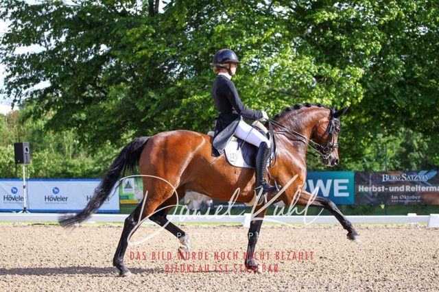 DKP41568 | Deine Turnierfotos vom Reitturnier online kaufen: Dressur, Springen & Siegerehrung. Professionelle Pferdefotografie aus dem Rheinland – als Download & Print.Alternative: Turnierfotograf für den Pferdesport: Finde deine Fotos von Dressur- und Springturnier