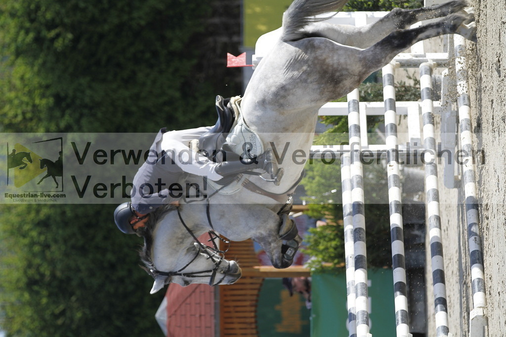 _MG_8550 | equestrian-live-com