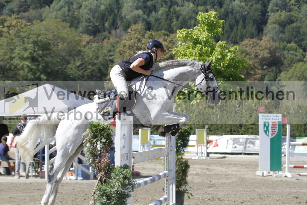 _MG_6531 | equestrian-live-com