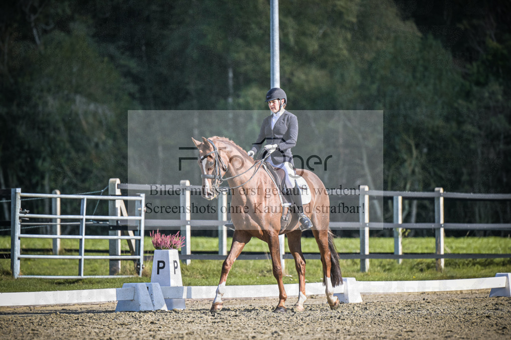 DOS_3735 | Entdecke hochwertige Reitturnierfotos von Foto Oger. Professionell, emotional und authentisch – jetzt Lieblingsmomente im Shop bestellen.Deutschlandweite Turnierfotografie. - Realisiert mit Pictrs.com