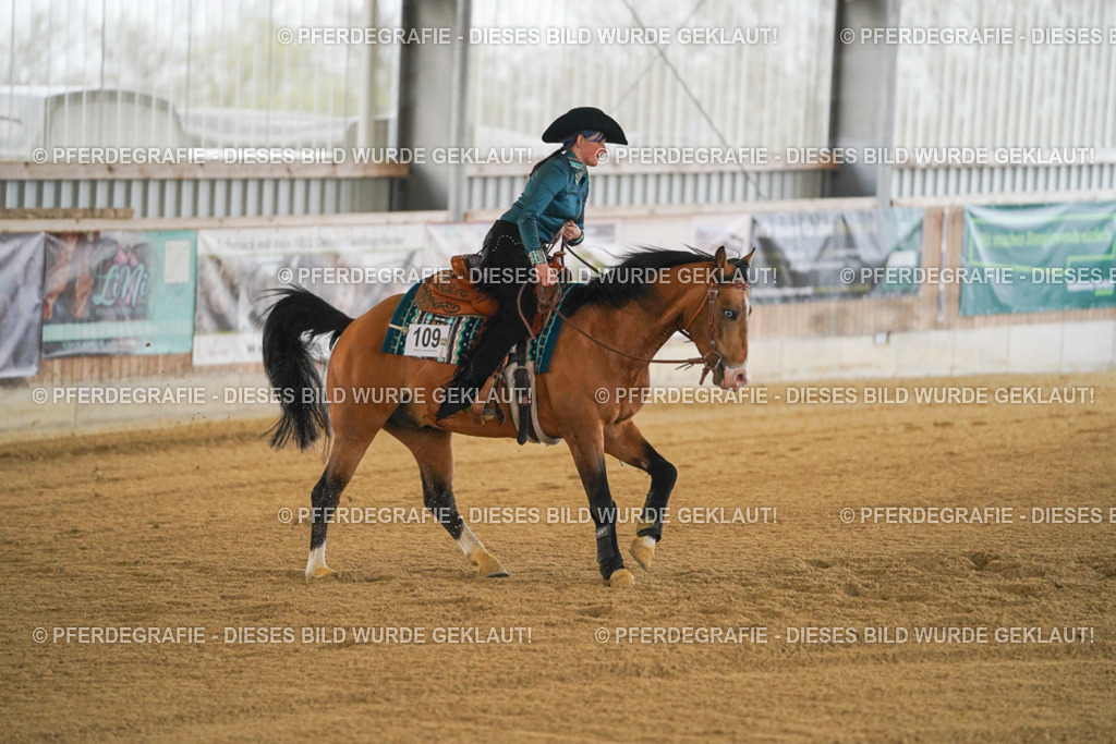 DSC08445 | Pferdegrafie