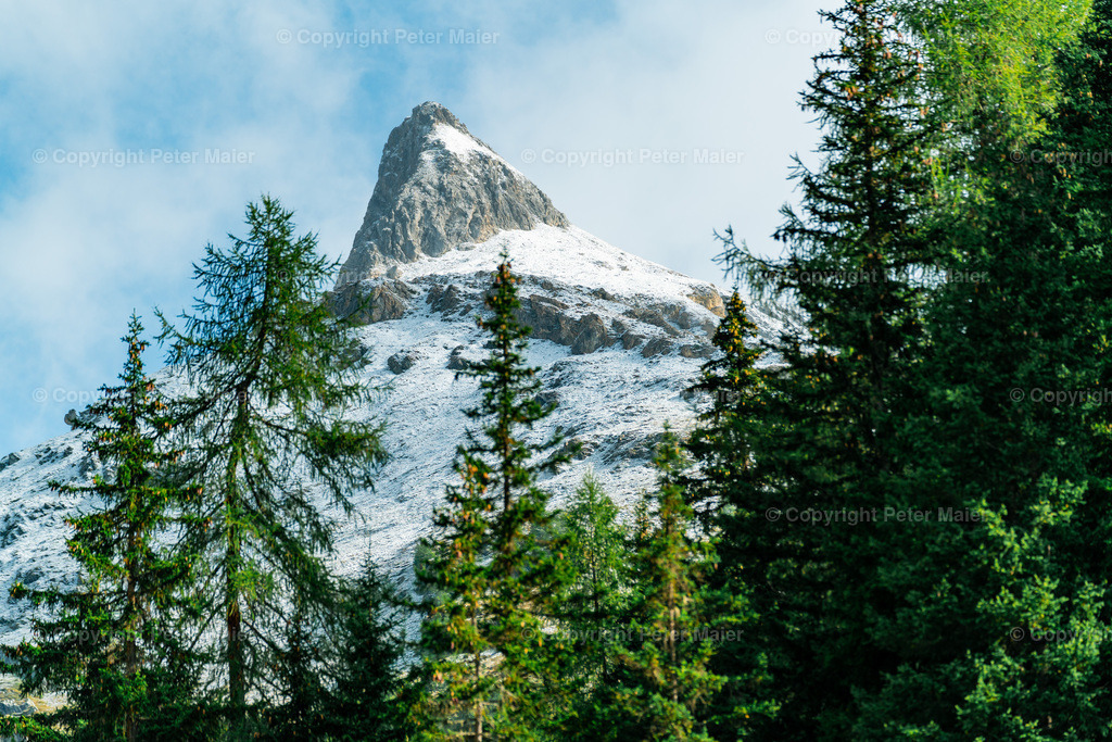 Divers_Erlebnisraum_Wald_23_Peter_Maier-730 | piet_flosse