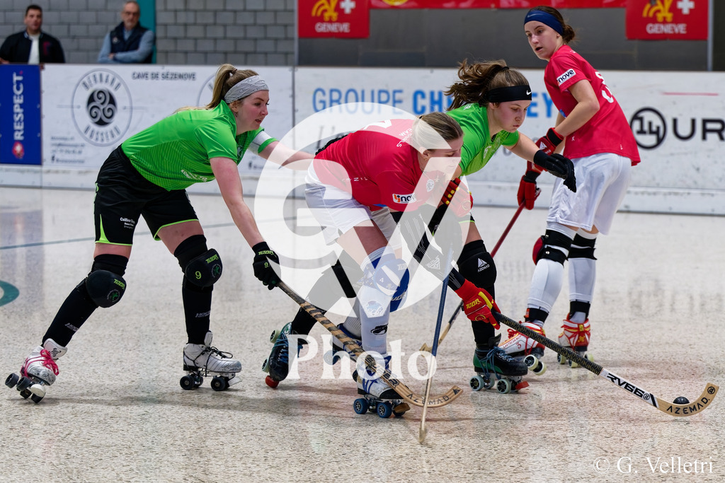 DZ8_7253 | Velletri Photo