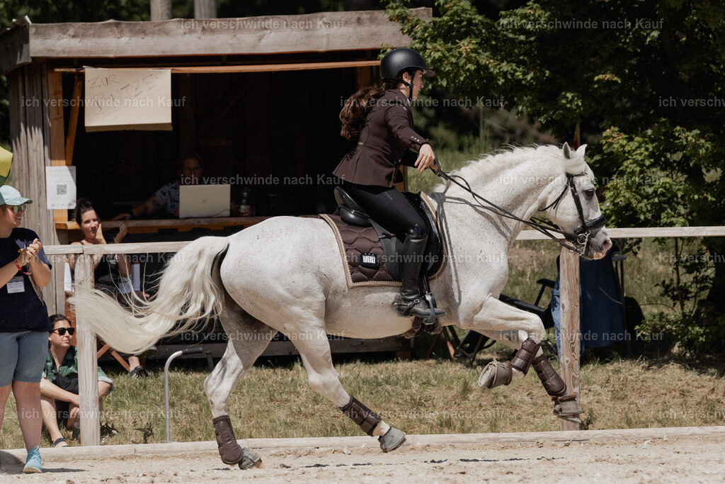 WE_SP_Stoib_318_PI2025_2077 | Pferd International München 2025