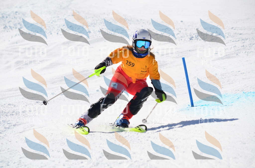 C8501 | holidayphoto