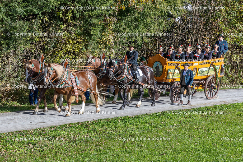 LBT24-817 | foto-bettina-krinner - Realisiert mit Pictrs.com