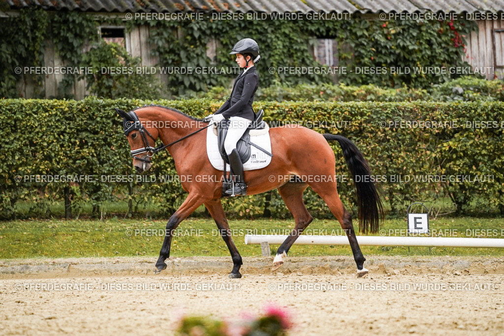 DSC07862 | Pferdegrafie