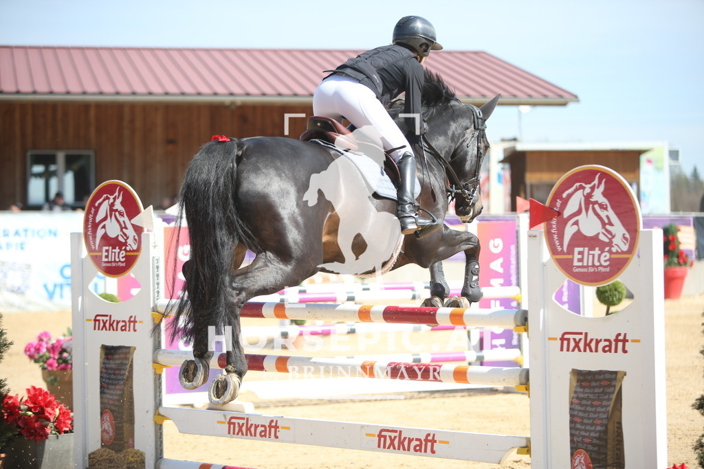 PP014095 | Willkommen bei Brunnmayr - Design & Fotografie – Ihrem Spezialisten für Reitturniere und Pferdeveranstaltungen in Oberösterreich, Salzburg und Bayern! Seit über 17 Jahren sind wir leidenschaftlich dabei.