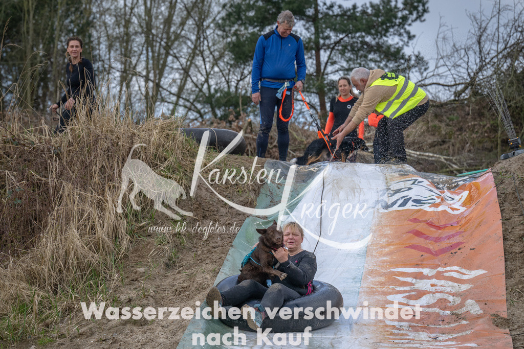 1011_ZZ94046 | kk-dogfotos