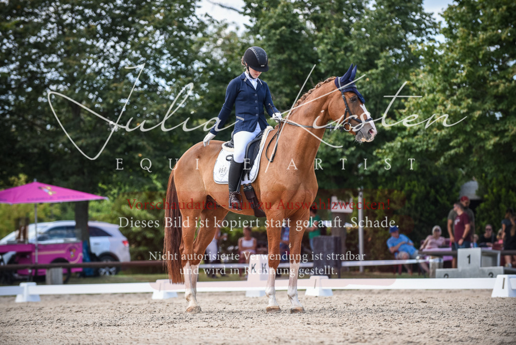 DSC_9357 | Pferde- und Turnierfotografie in Westsachsen. Pferdeportraits, Auftragszeichnungen und intuitive Kunst.