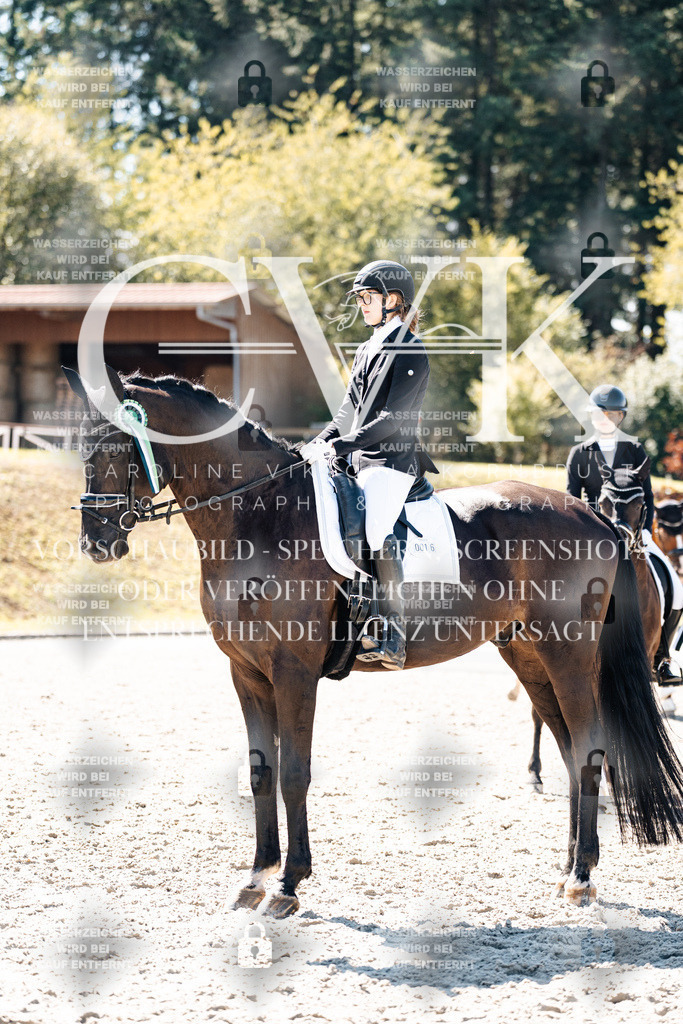 CK909941 | Turnierfotografie Pferdefotografie Trier Rheinland-Pfalz Pferdesport Reitsport Tierfotografie Sportfotografie Pferdevideo Pferdevideografie Equestrianvideography equestrianphotography  - Realisiert mit Pictrs.com