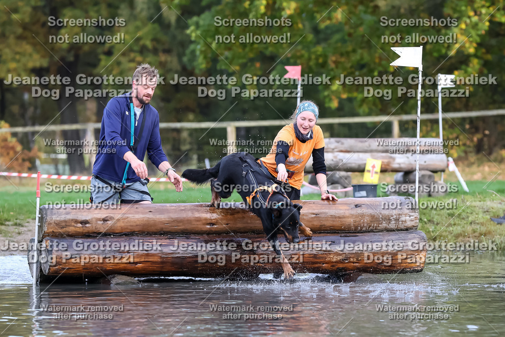 Dog Paparazzi - Strongdog 10-25-6682 | Dog Paparazzi Jeanette Grottendiek Fotografie & Videografie - Realisiert mit Pictrs.com