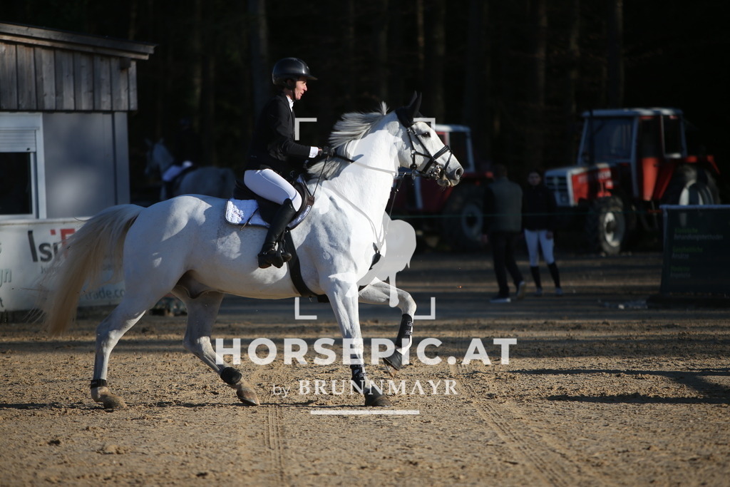 PP016008 | Willkommen bei Brunnmayr - Design & Fotografie – Ihrem Spezialisten für Reitturniere und Pferdeveranstaltungen in Oberösterreich, Salzburg und Bayern! Seit über 17 Jahren sind wir leidenschaftlich dabei.