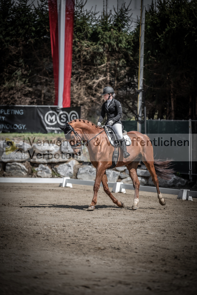 DSC_0730 | equestrian-live-com